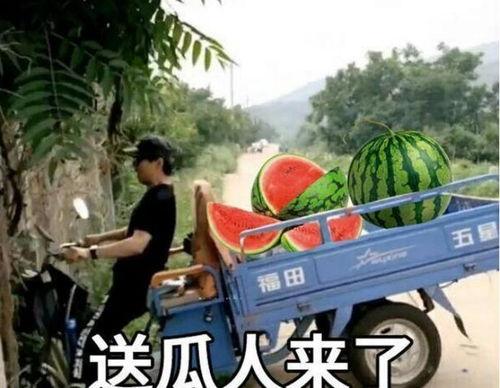 最近大瓜事件,揭秘明星隐私风波背后的真相-第1张图片-h黄动漫视频在线观看网站