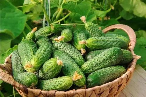 最近大瓜事件,揭秘明星隐私风波背后的真相-第2张图片-h黄动漫视频在线观看网站