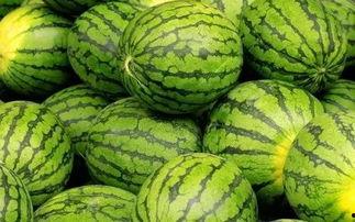 吃瓜网官网免费观看 吃瓜网官网,免费观看，畅享娱乐盛宴-第2张图片-h黄动漫视频在线观看网站