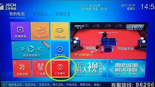 兔费国产福利视频,免费畅享视听盛宴-第1张图片-h黄动漫视频在线观看网站