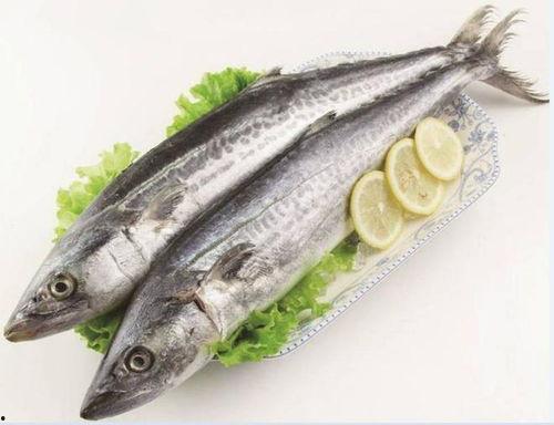 国产鲅鱼还敢吃吗视频大全,揭秘视频真相，安心享用美味-第2张图片-h黄动漫视频在线观看网站