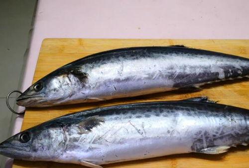 国产鲅鱼还敢吃吗视频大全,揭秘视频真相，安心享用美味-第3张图片-h黄动漫视频在线观看网站