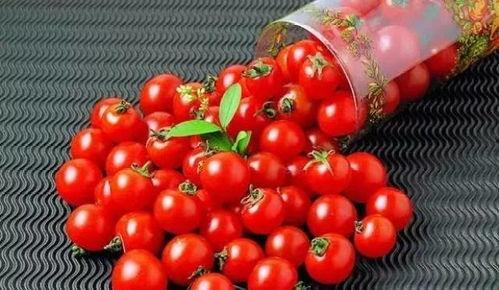 大番茄国产线看视频7,揭秘现代化番茄种植技术-第1张图片-h黄动漫视频在线观看网站