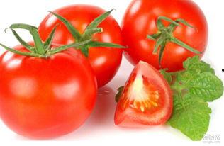 大番茄国产线看视频7,揭秘现代化番茄种植技术-第2张图片-h黄动漫视频在线观看网站