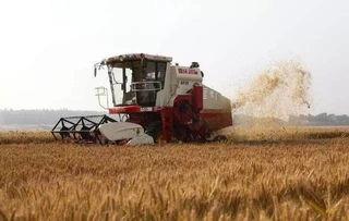 国产大型麦子收割机视频,高效收割，助力农业现代化-第2张图片-h黄动漫视频在线观看网站