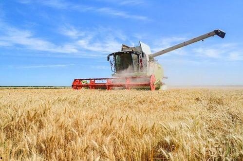 国产大型麦子收割机视频,高效收割，助力农业现代化-第3张图片-h黄动漫视频在线观看网站