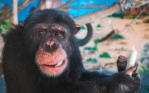 国产又黄又爽免费视频,揭秘“又黄又爽”免费视频背后的精彩故事-第3张图片-h黄动漫视频在线观看网站