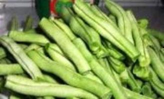 扁豆视频观看国产,营养美味,健康生活新选择-第1张图片-h黄动漫视频在线观看网站 扁豆视频观看国产,营养美味,健康生活新选择-第1张图片-h黄动漫视频在线观看网站