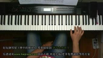 国产钢琴 测评视频教程,视频教程深度解析与选购指南-第2张图片-h黄动漫视频在线观看网站