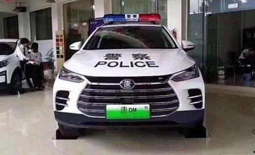 最帅的国产警车视频,最帅警车视频惊艳亮相，硬核实力引关注-第3张图片-h黄动漫视频在线观看网站