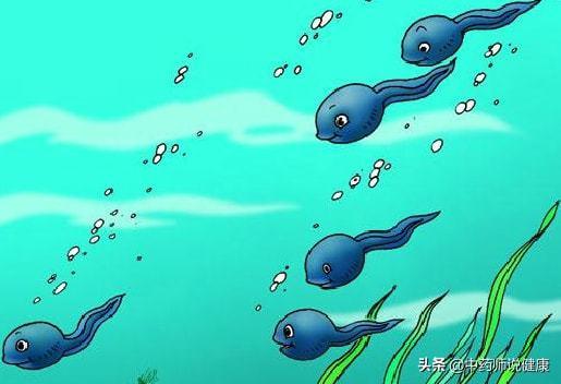 国产蝌蚪小视频精品,精品内容汇聚，带你领略短视频魅力-第2张图片-h黄动漫视频在线观看网站