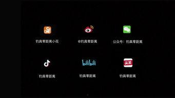 国产弹射竿测评知乎视频-第1张图片-h黄动漫视频在线观看网站