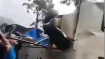 国产驷马视频,匠心独运，引领科技潮流的视觉盛宴-第2张图片-h黄动漫视频在线观看网站