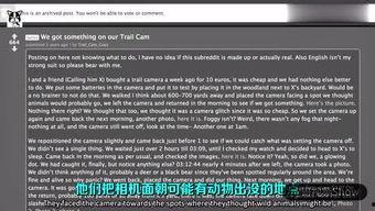 狗哥看国产的视频网站,狗哥带你领略国产视频网站的魅力-第2张图片-h黄动漫视频在线观看网站